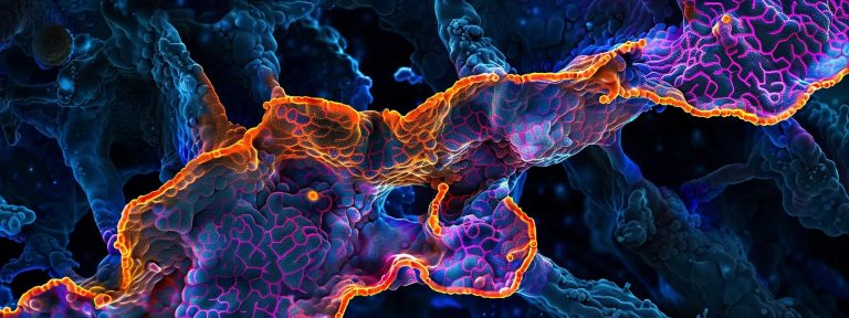 a vibrant microscopic view showcasing the intricate structure of the human metapneumovirus (hmpv), highlighting its unique viral morphology, with vivid colors and detailed textures illuminated under soft backlighting.