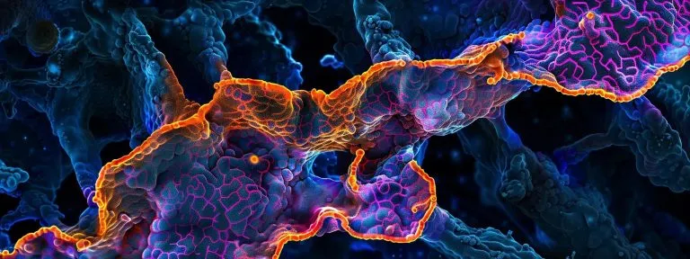 a vibrant microscopic view showcasing the intricate structure of the human metapneumovirus (hmpv), highlighting its unique viral morphology, with vivid colors and detailed textures illuminated under soft backlighting.